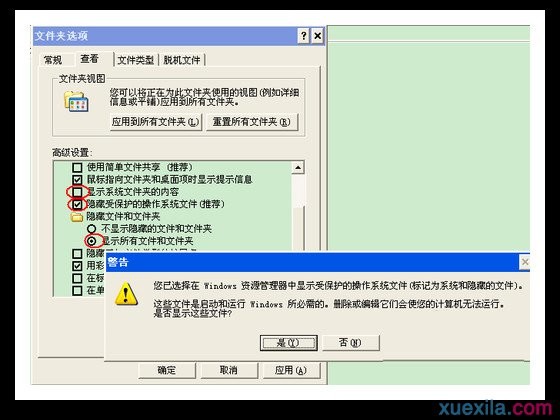 查看u盘隐藏文件夹(4)