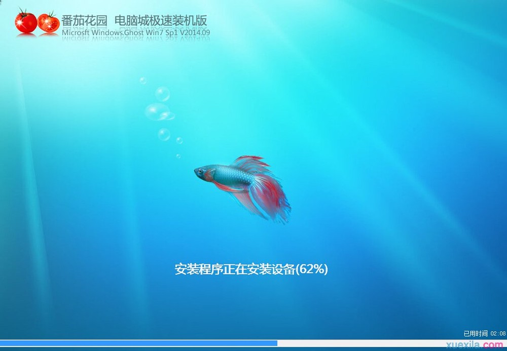 大白菜u盘装番茄花园win7系统(6)