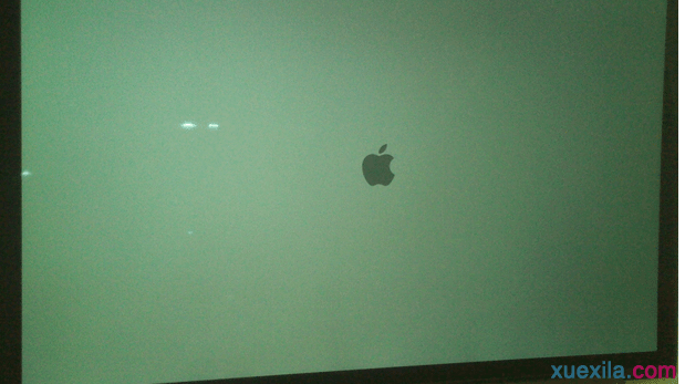 苹果电脑进入u大侠u盘启动