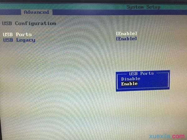 进入pe鼠标键盘失灵(1)