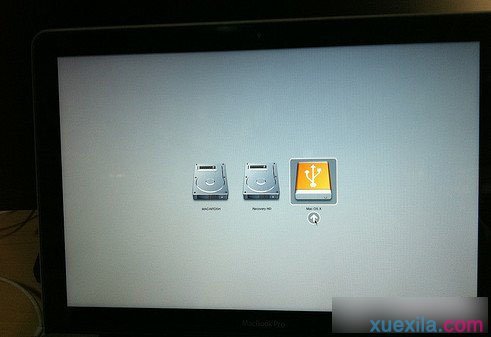 绿叶u盘装Mac系统