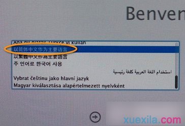 绿叶u盘装Mac系统(3)