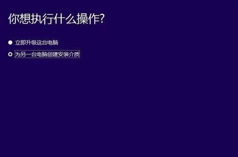 win10系统32位u盘装64位(2)