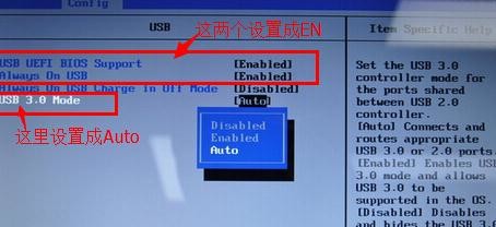 u盘装系统进不去pe(2)